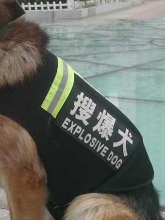 police-dog-tianjin