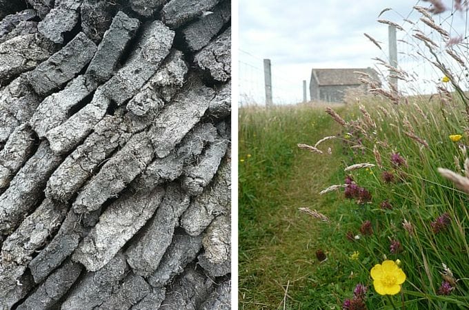 Peatstack and wildflowers in Ness, Isle of Lewis