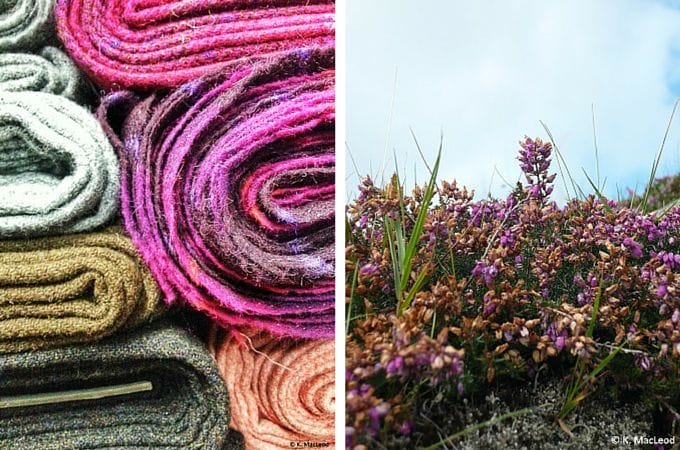 Harris Tweed and purple heather in bloom