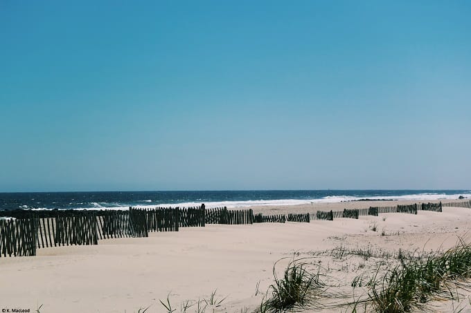 Sand dunes at the Jersey Shore