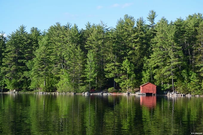 An off-the-grid red cabin in the woods, Grand Lake Stream