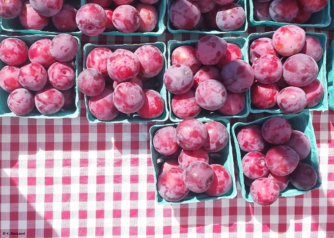 Plums on a table at Kennebunk Farmer's Market