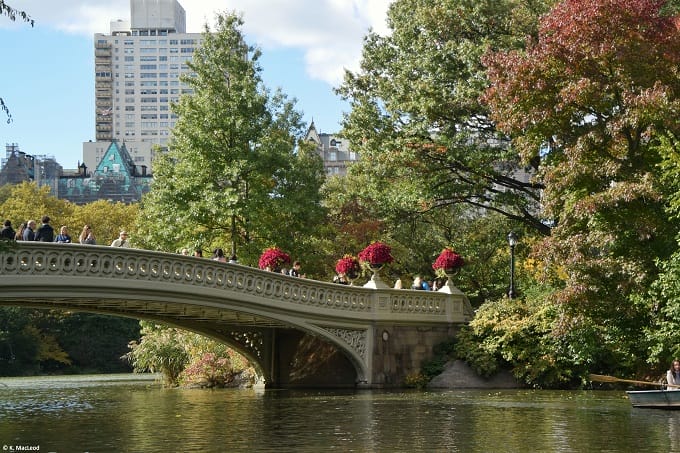Autumn leaves at Central Park