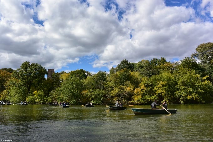 Boats-on-the-Lake-in-Central-Park