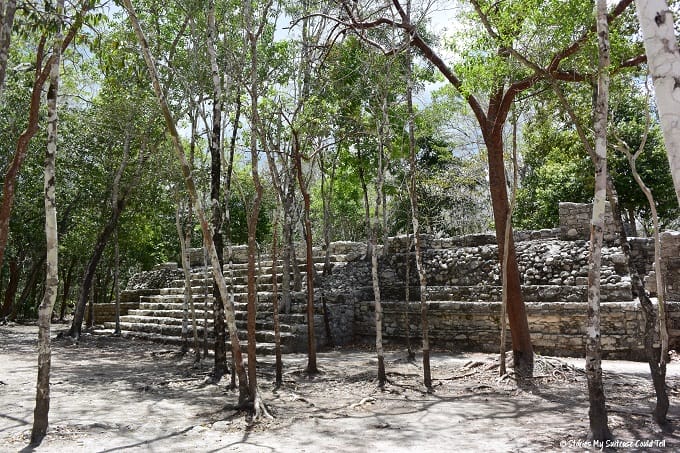 Mayan ruins in the Coba jungle