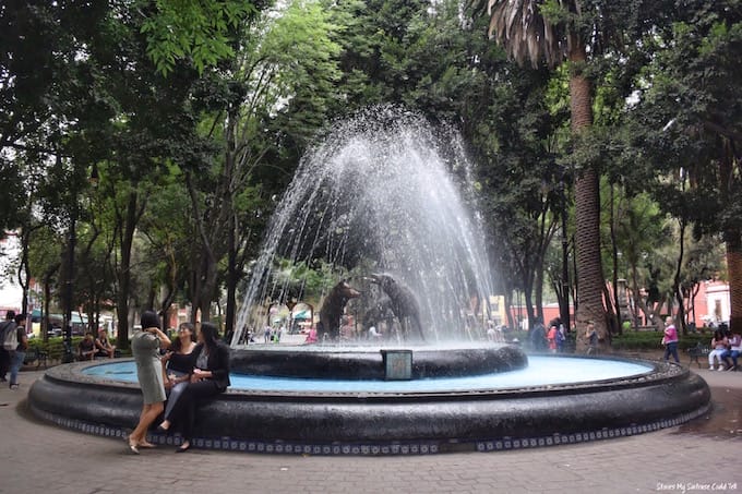 Coyoacan park Mexico City