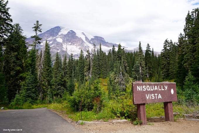 Nisqually Vista Trail Mount Rainier